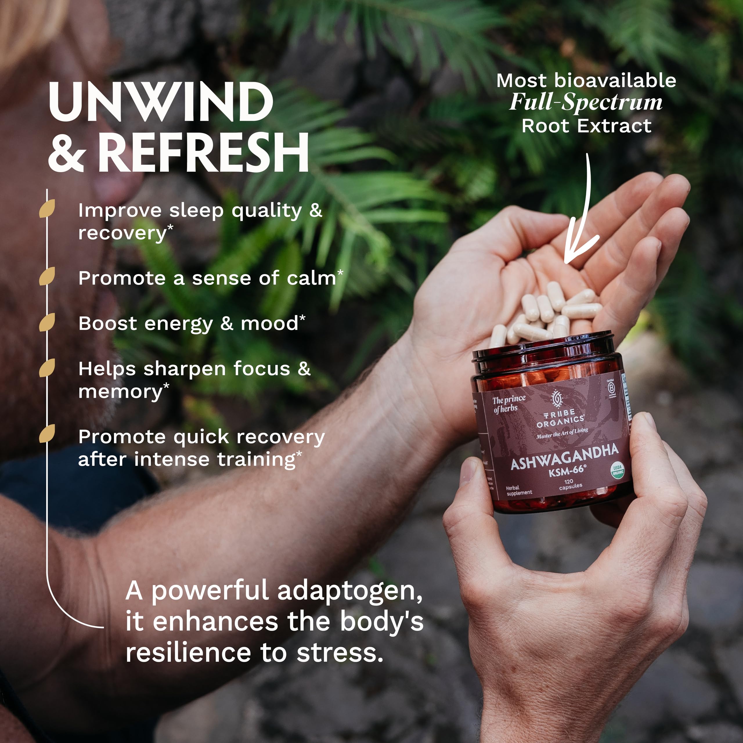 TRIBE ORGANICS Ashwagandha etiquette bio – étiquette claire et traçable.
