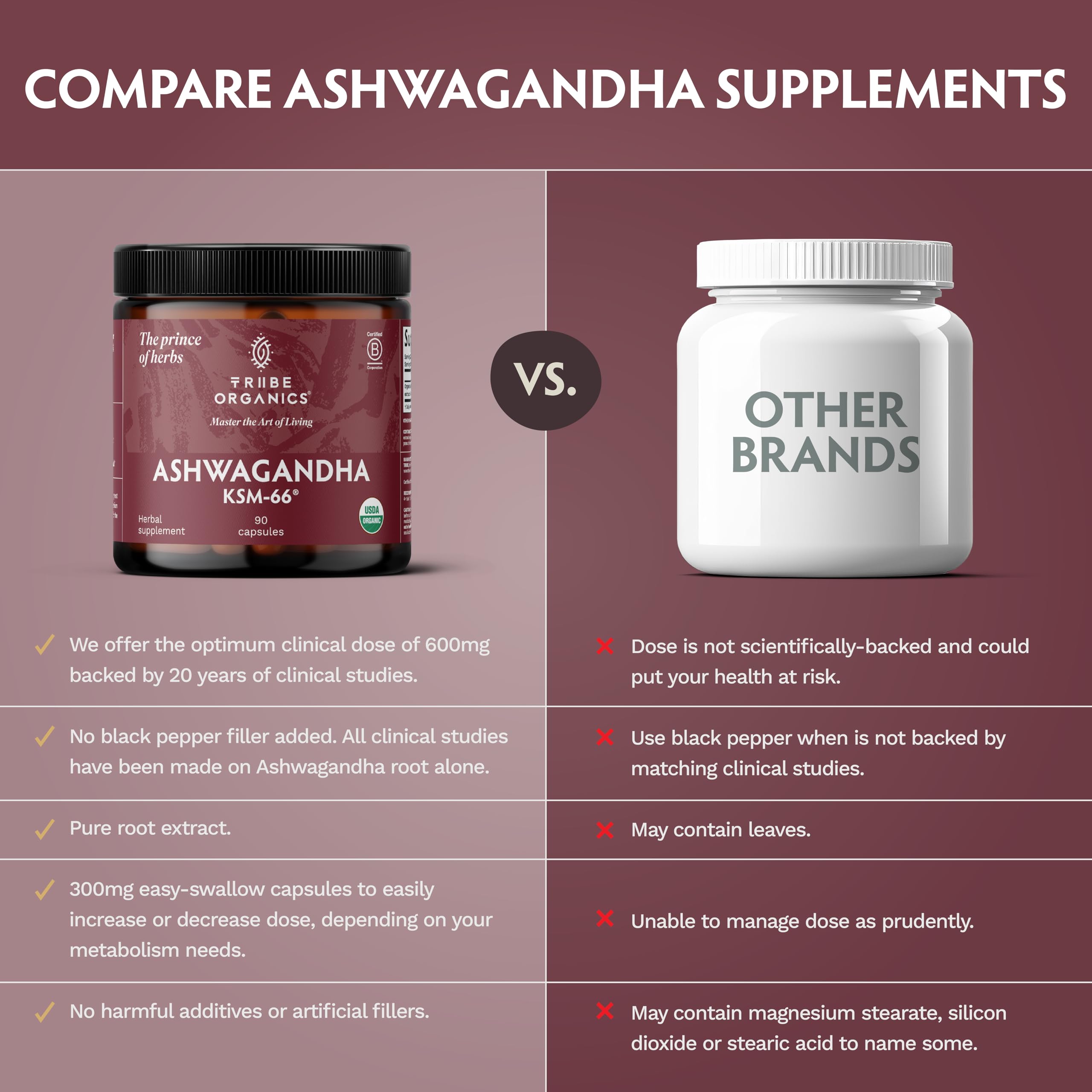 TRIBE ORGANICS Ashwagandha KSM66 – poudre fine prête à mélanger.