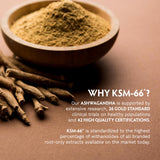 TRIBE ORGANICS Ashwagandha KSM66 – usage quotidien recommandé.