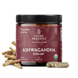 TRIBE ORGANICS Ashwagandha poudre – poudre concentrée pour énergie et clarté mentale.
