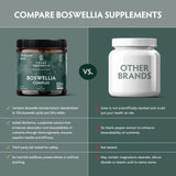 TRIBE ORGANICS Boswellia Complex formulation complète pour articulations et mobilité