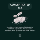 TRIBE ORGANICS Boswellia Complex vegan et non-GMO, respectueux de l'environnement