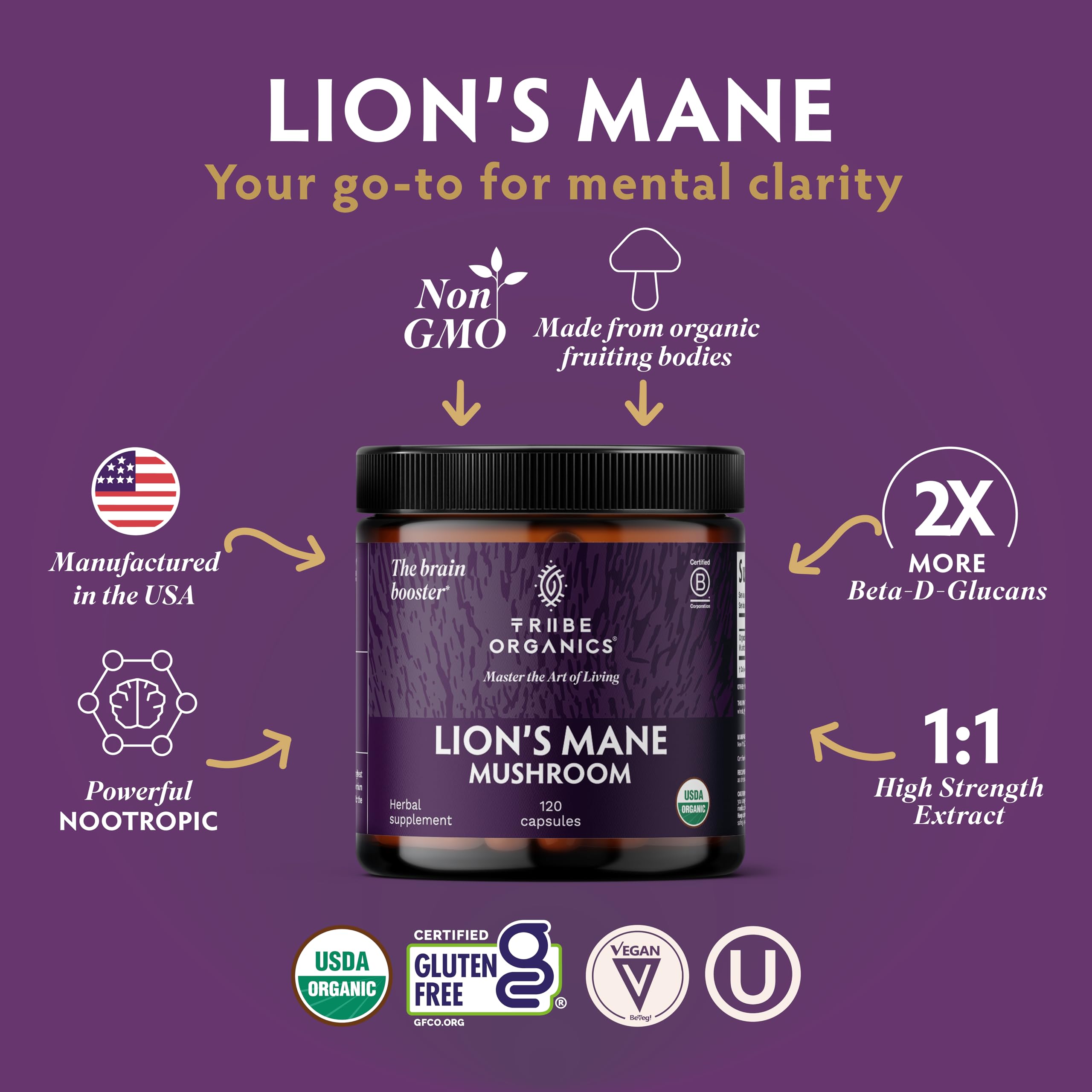 TRIBE ORGANICS Crinière de Lion: bouteille de gélules pour soutien cognitif potentiel et énergie naturelle