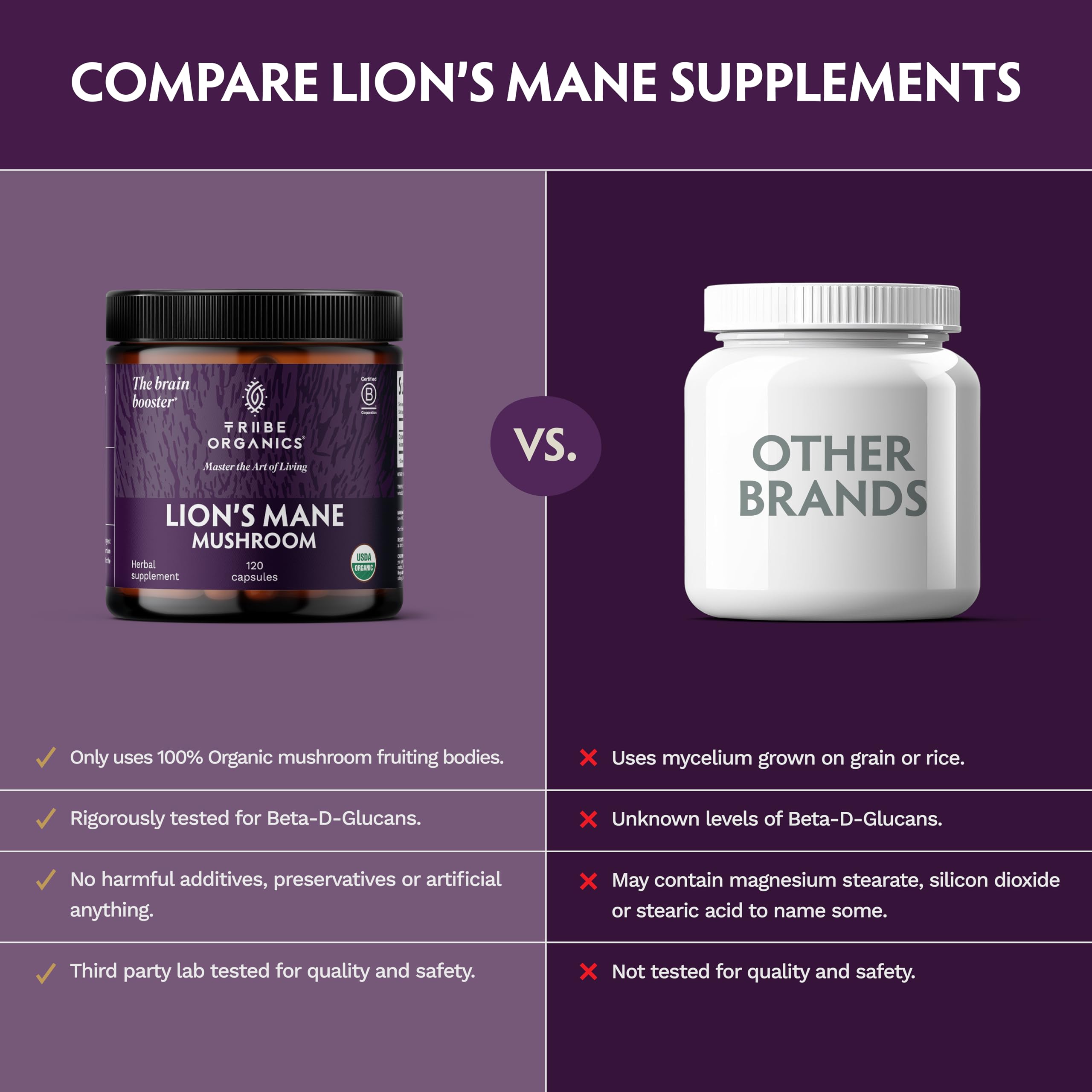 TRIBE ORGANICS Crinière de Lion: gélules végétariennes sans additifs