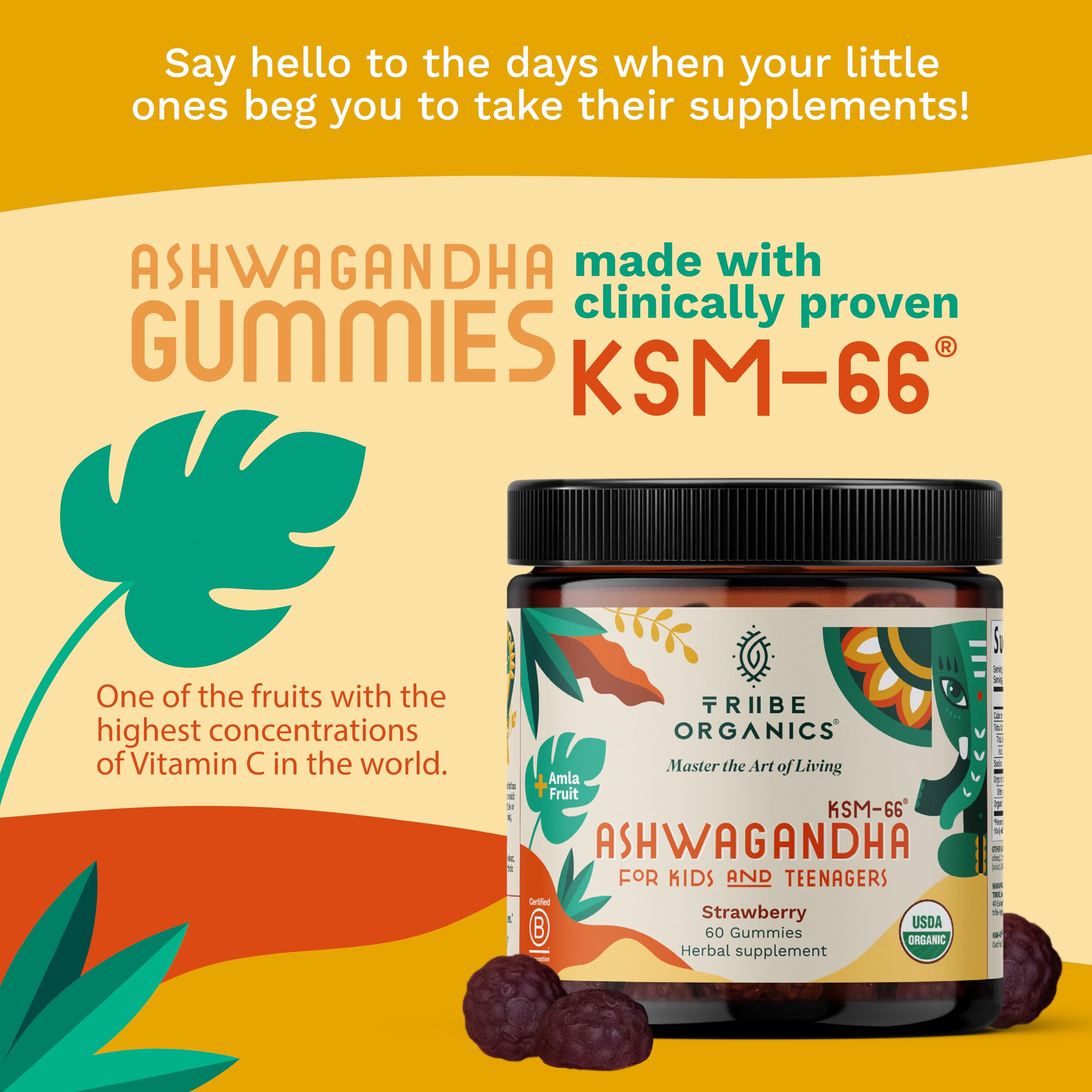 TRIBE ORGANICS Gommes Ashwagandha en enfant en train de les mâcher