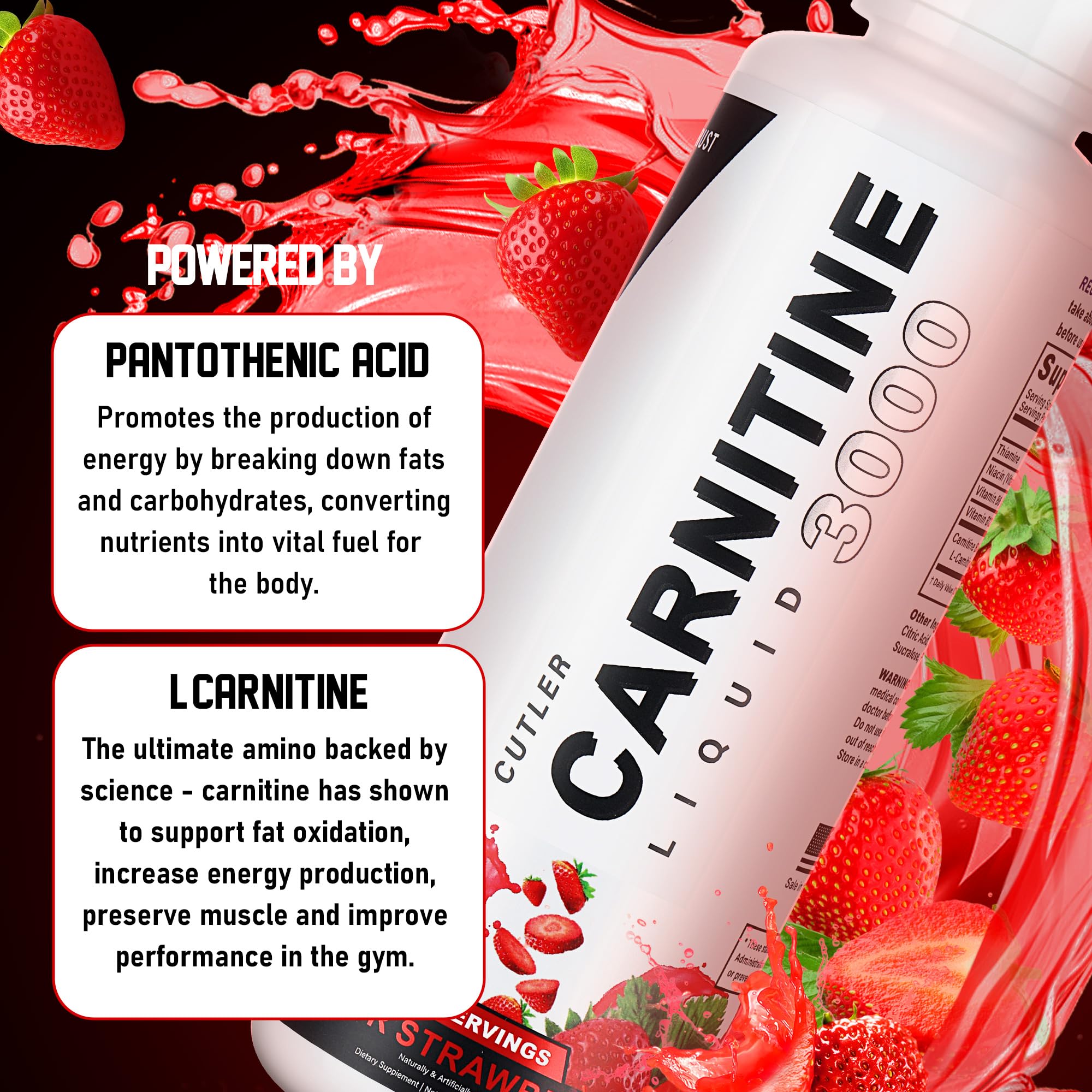 Trihood L-Carnitine 3000 — liquide améliorant la biodisponibilité supposée.