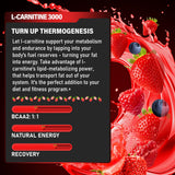 Trihood L-Carnitine 3000 — goût fraise-ananas, expérience gustative rafraîchissante.