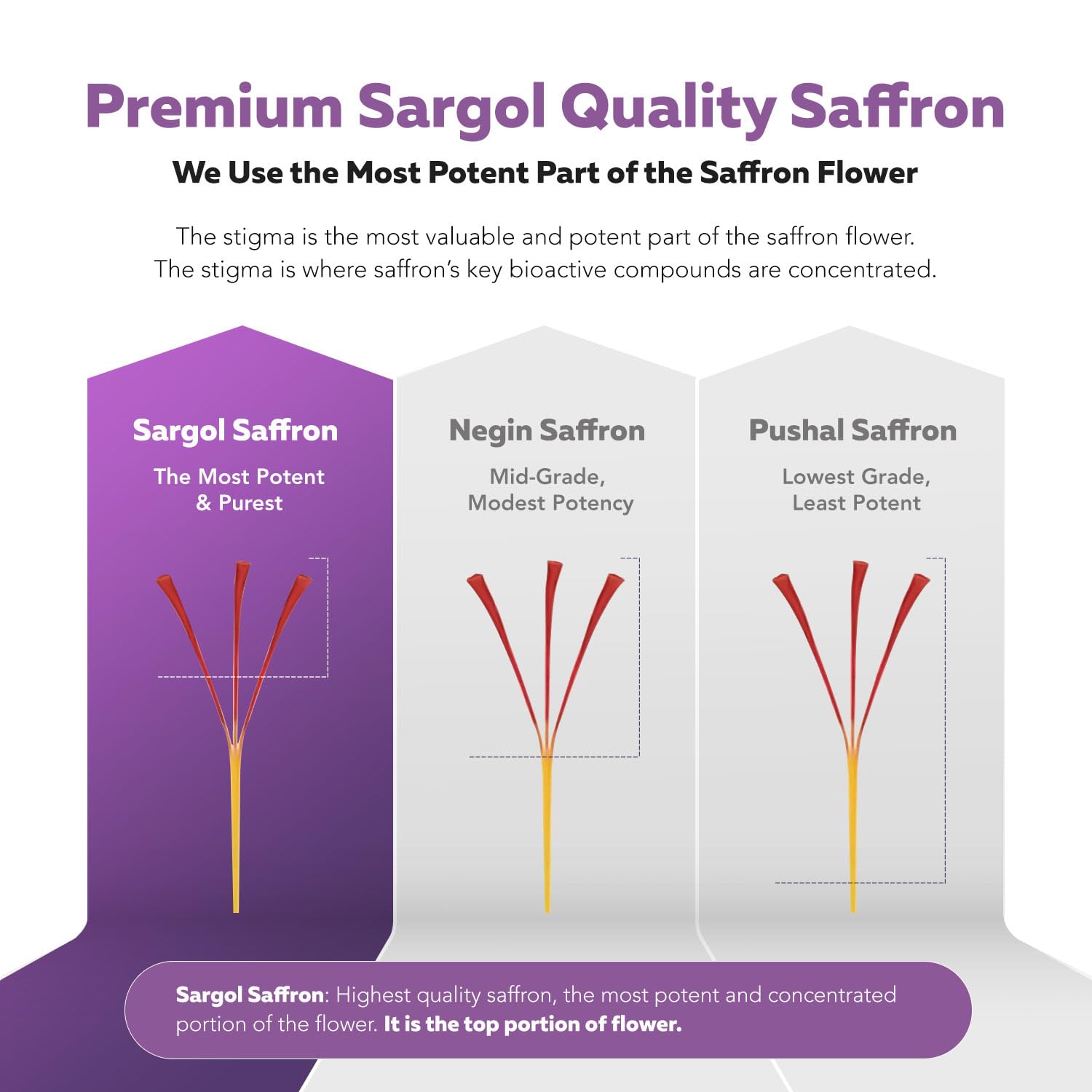 Triquetra Health Extrait de Safran Biologique – capsules faciles à prendre en déplacement.