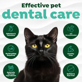 TropiClean — chat utilisant l'eau dentaire sans brossage nécessaire.