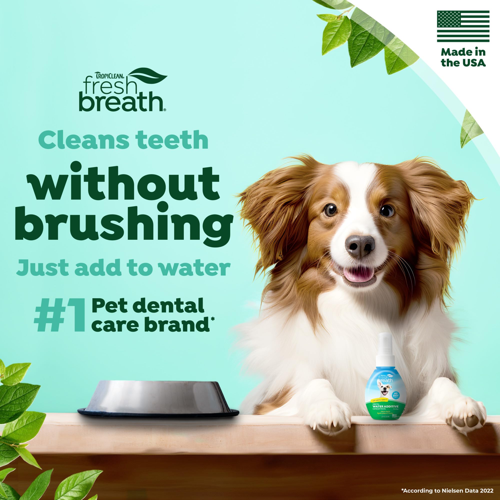TropiClean: solution dentaire en eau, favorise une bouche plus propre chien.