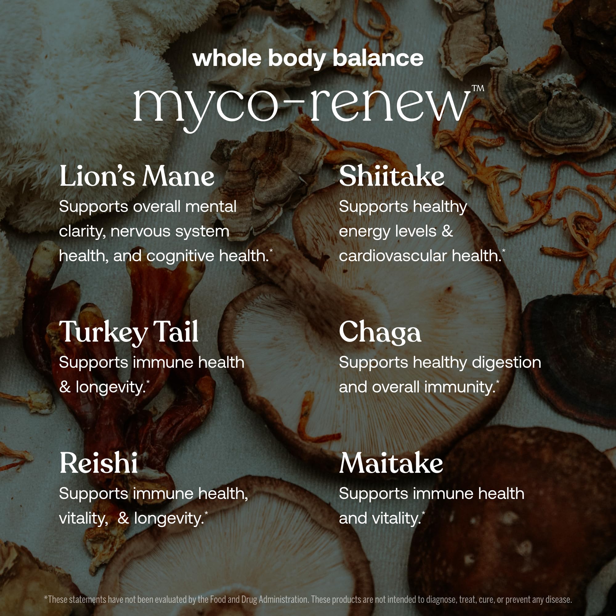 True Grace – Chaga et Maitake, vitalité durable.