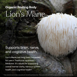 True Grace Multivitamine Quotidienne — crinière de lion biologique et bacopa pour mémoire.