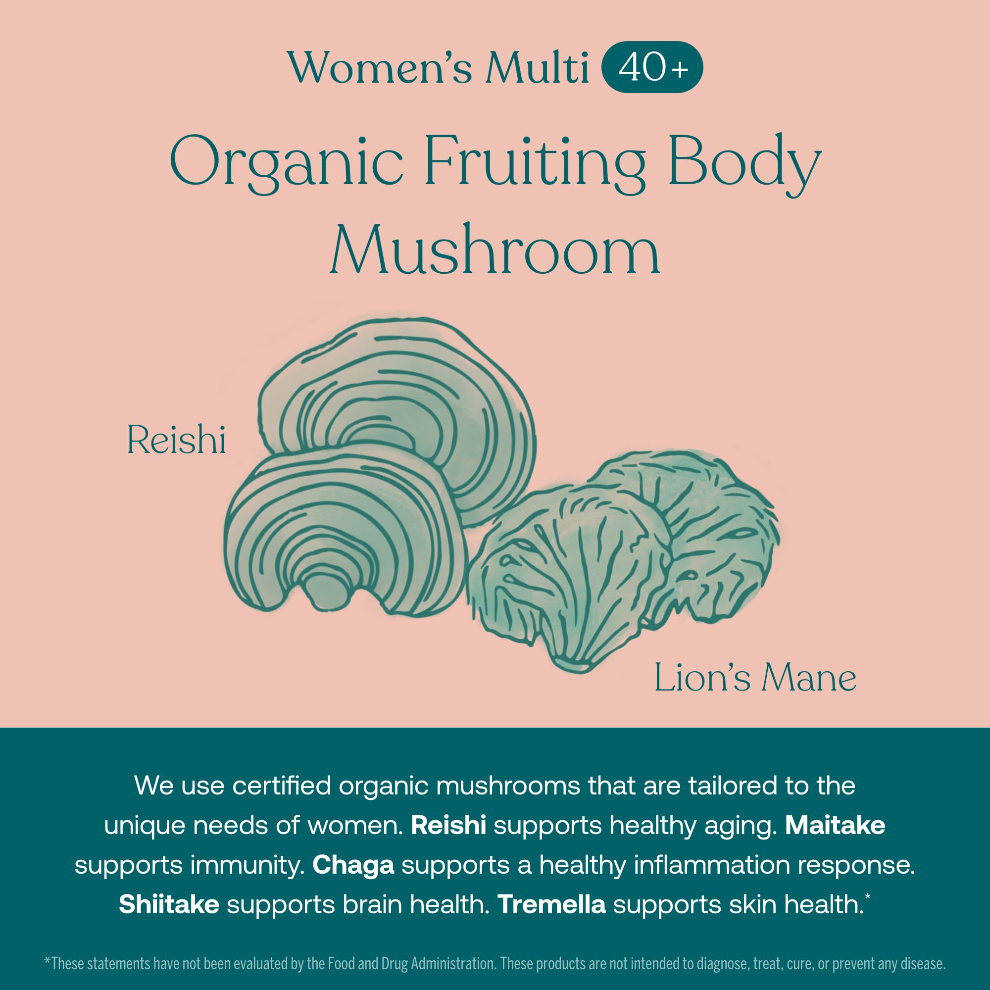 True Grace mélange champignons bio pour stimuler l’immunité potentielle
