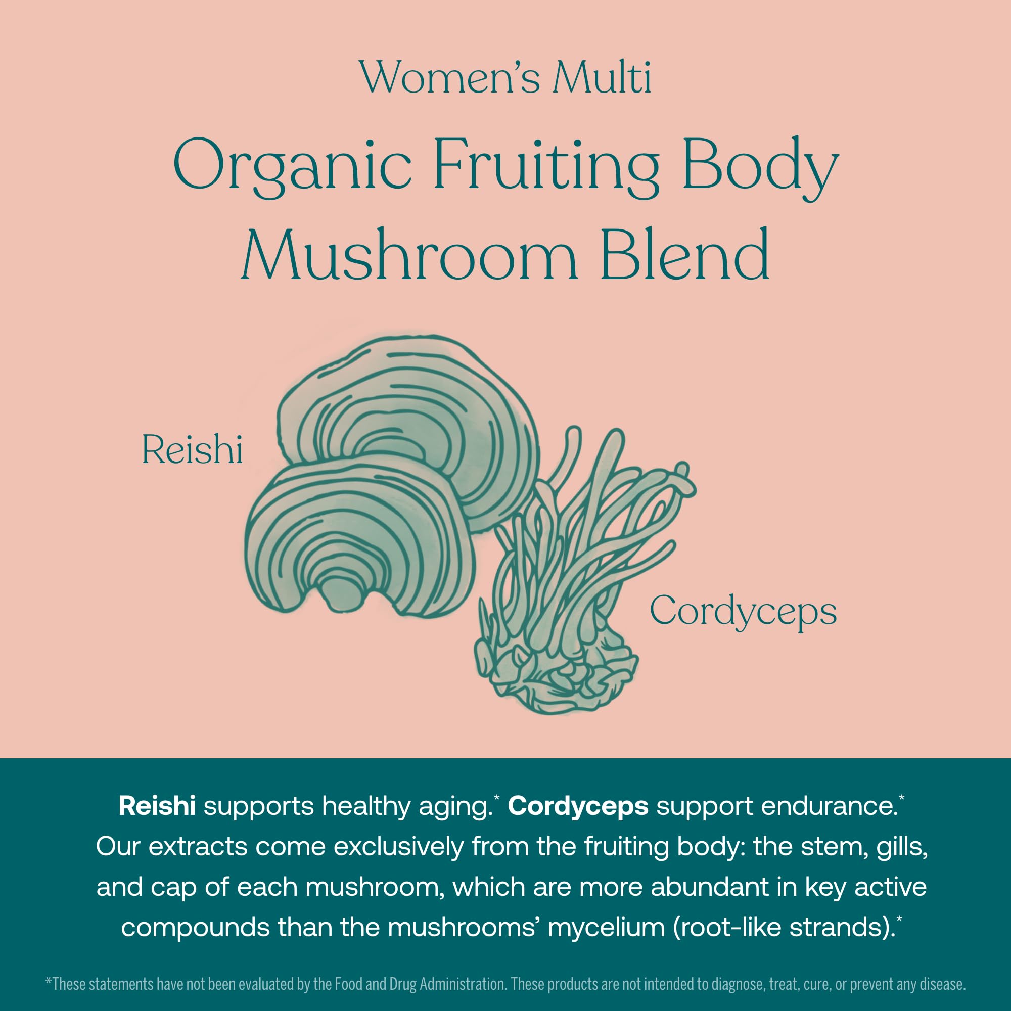 Mélange champignons bio True Grace pour potentiel soutien immunitaire et vitalité.
