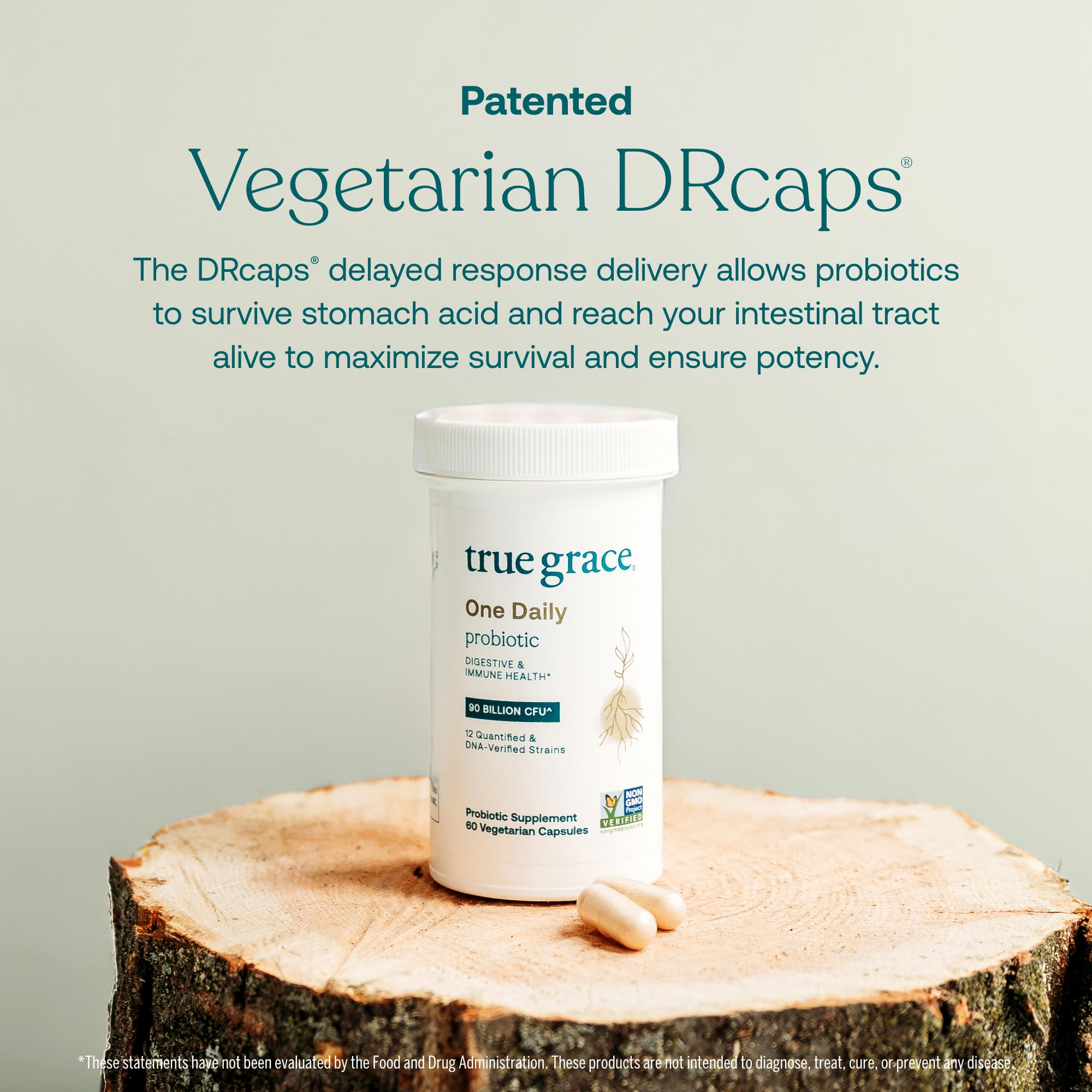 True Grace Prébiotique Acacia: fibre douce pour le confort intestinal.