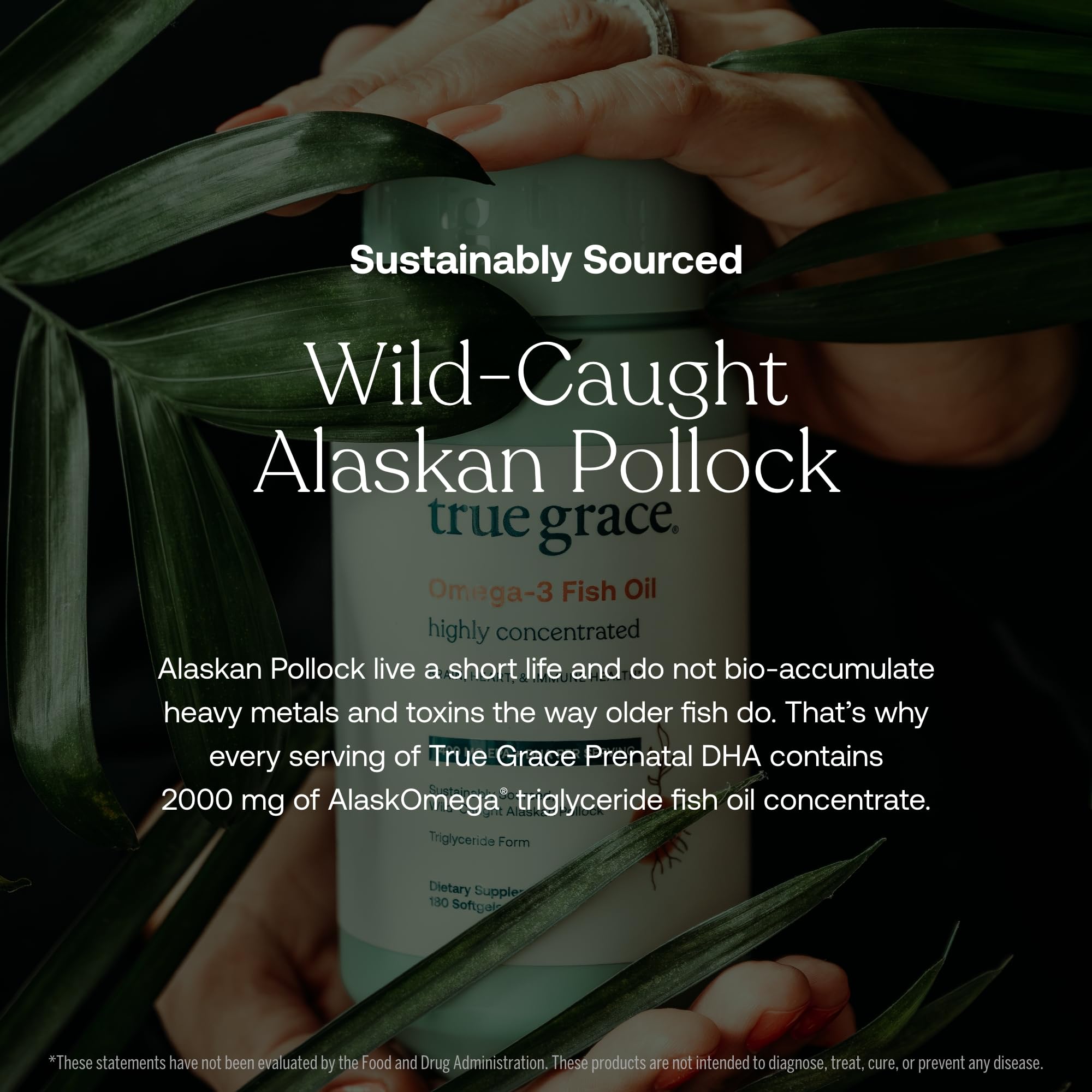 Source Alaskan Pollock – huile durable et traçabilité assurée