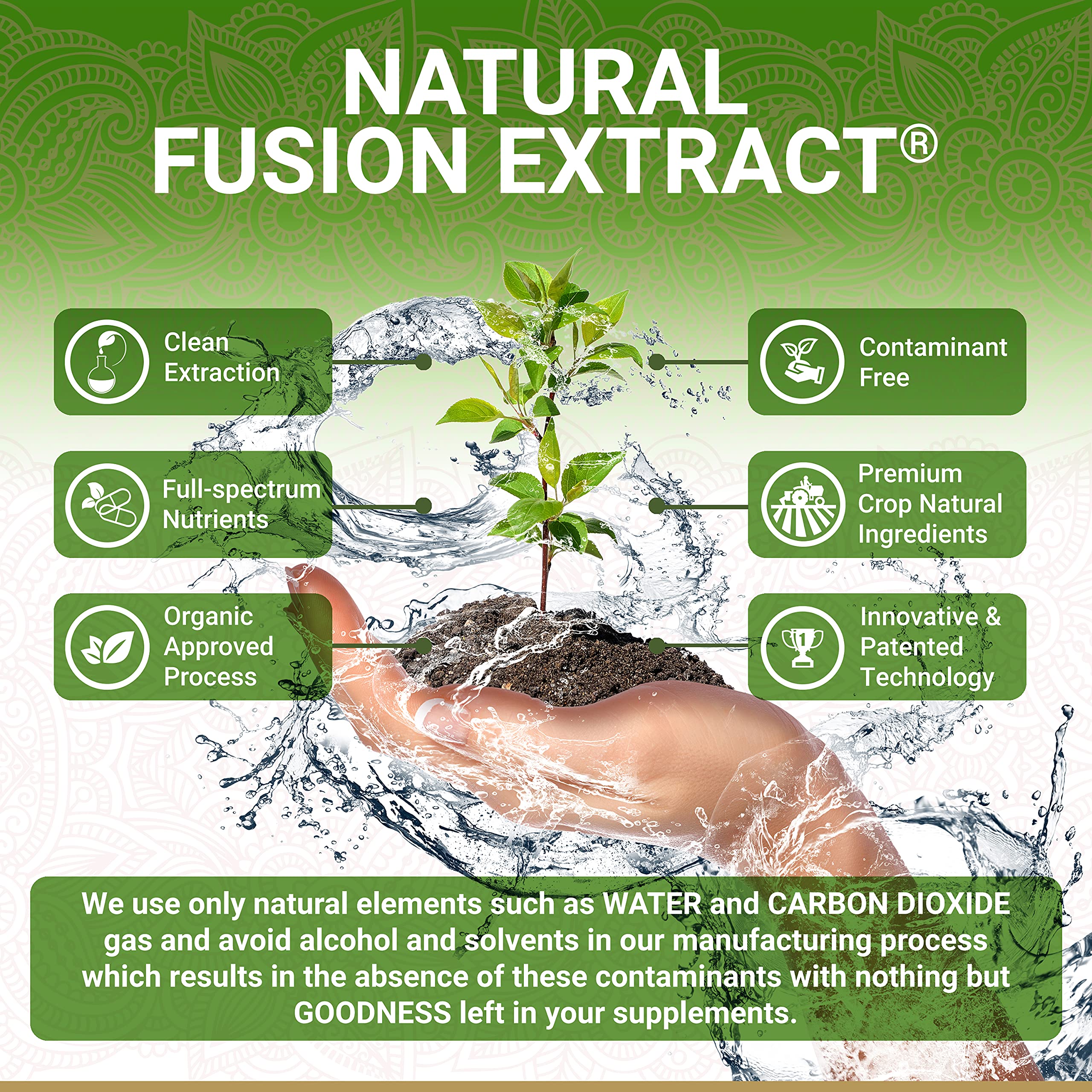 True Veda Amla, capsules détail, texture fine et concentration naturelle des nutriments.