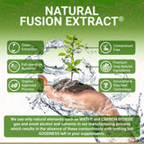 True Veda Amla, capsules détail, texture fine et concentration naturelle des nutriments.