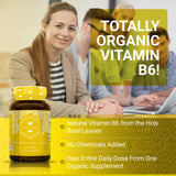 Capsules True Veda Basilic emballage éco, accessibilité et pureté.