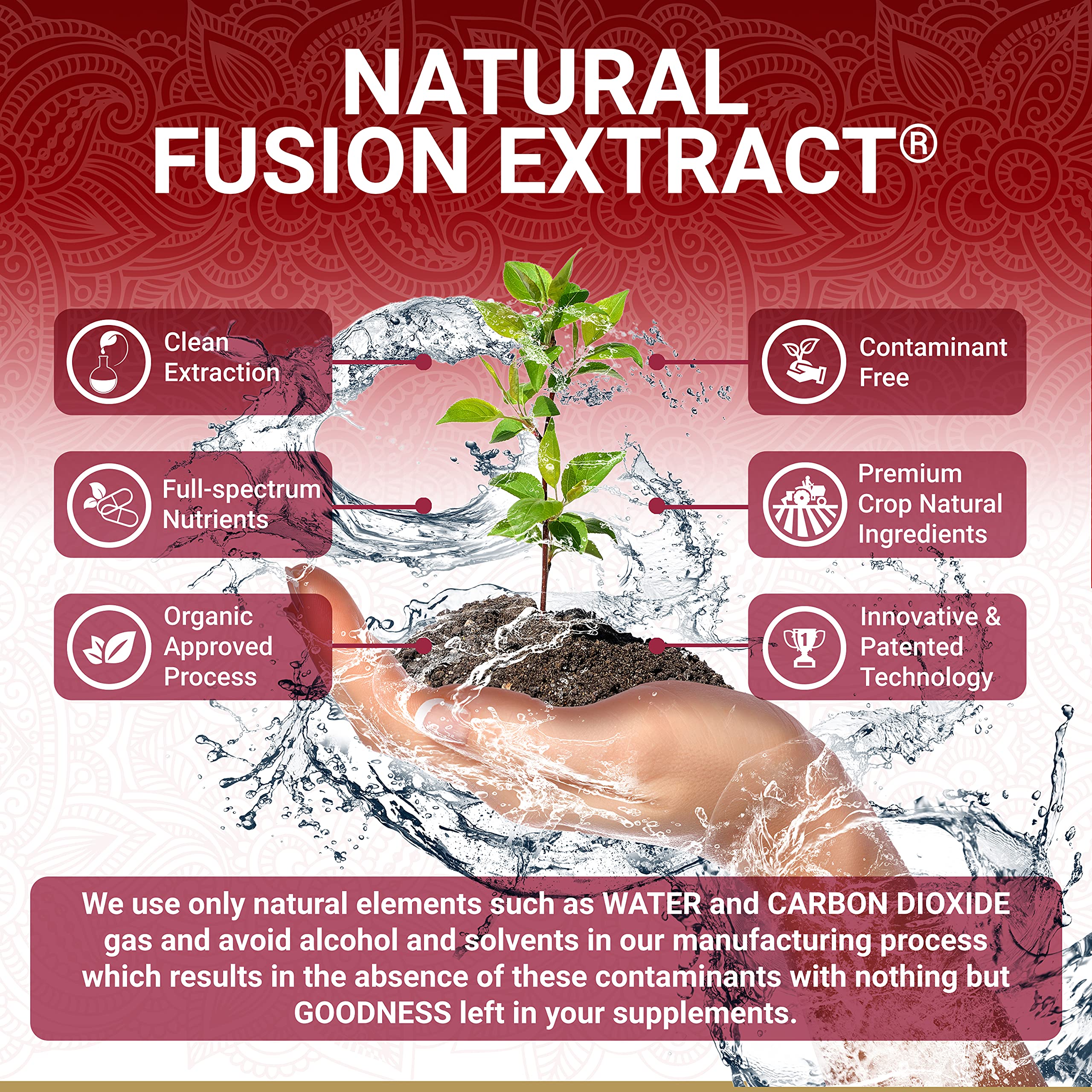 True Veda: étiquette USDA Organic sur le produit grenade bio.