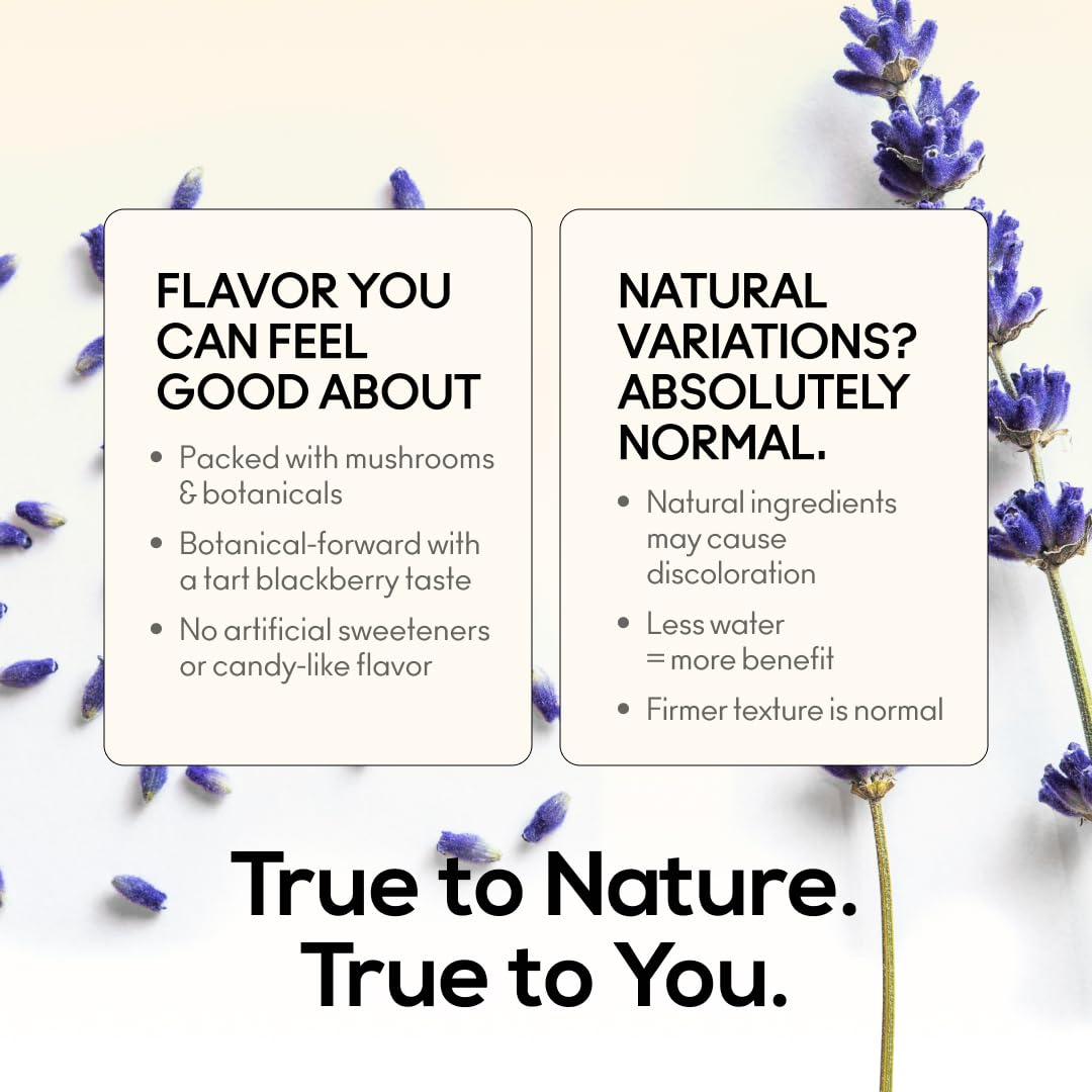 TrueMushroom Dosage précis – utilization nocturne pratique.