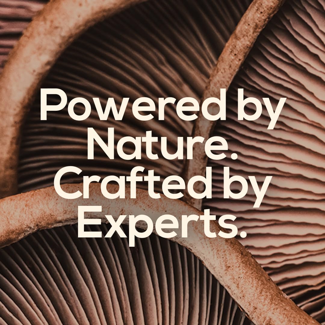 TrueMushroom gnomes Ingrédients naturels – formulation vegan et sans allergènes.