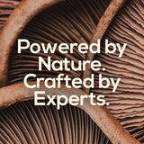 TrueMushroom gnomes Ingrédients naturels – formulation vegan et sans allergènes.