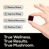 TrueMushroom gomme Sommeil Reishi – soutien au repos ciblé.