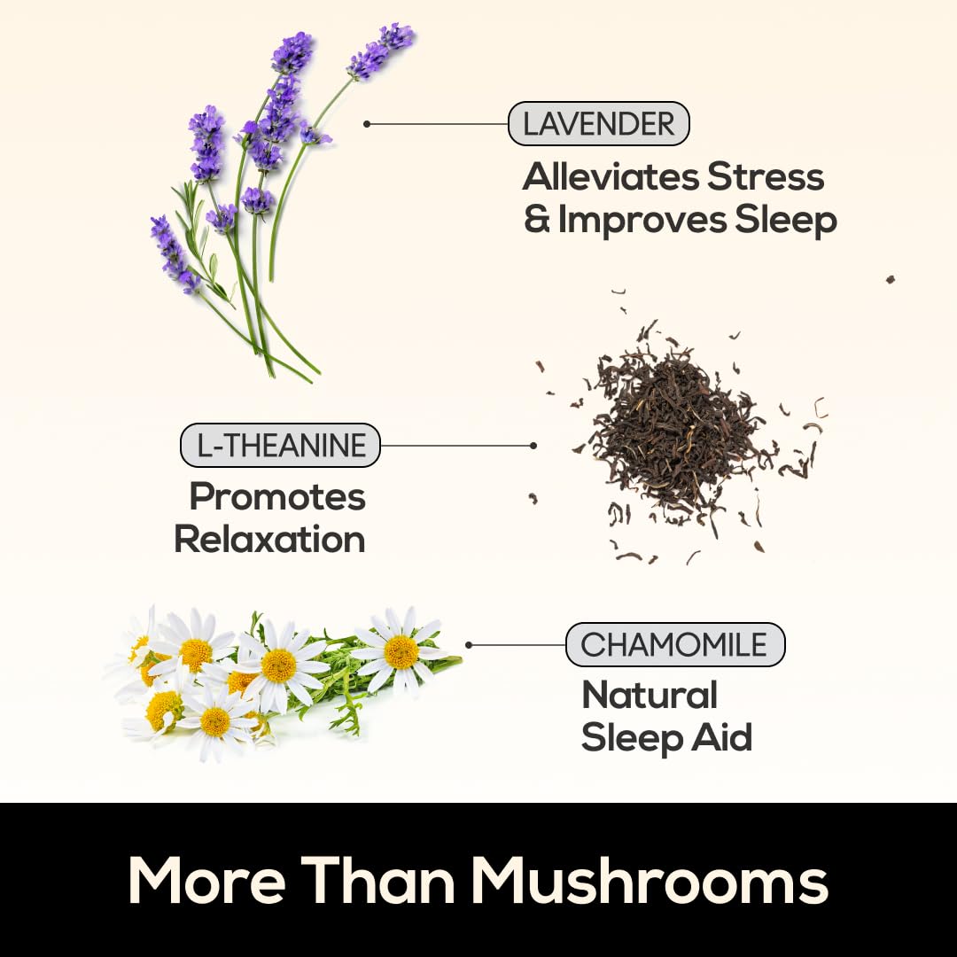 TrueMushroom gomme Sommeil Shiitake – goût mûre noire agréable.