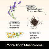 TrueMushroom gomme Sommeil Shiitake – goût mûre noire agréable.