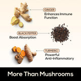 Gingembre et curcuma naturels accompagnent la formulation TrueMushroom.