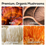 Ingrédients biologiques TrueMushroom, champignons variés pour un soutien quotidien.