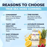 TrueSeaMoss Gummies - emballage clair et design soigné, repérable facilement.