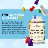 TrueSeaMoss Gummies - emballage portable dans la main, pratique en déplacement.