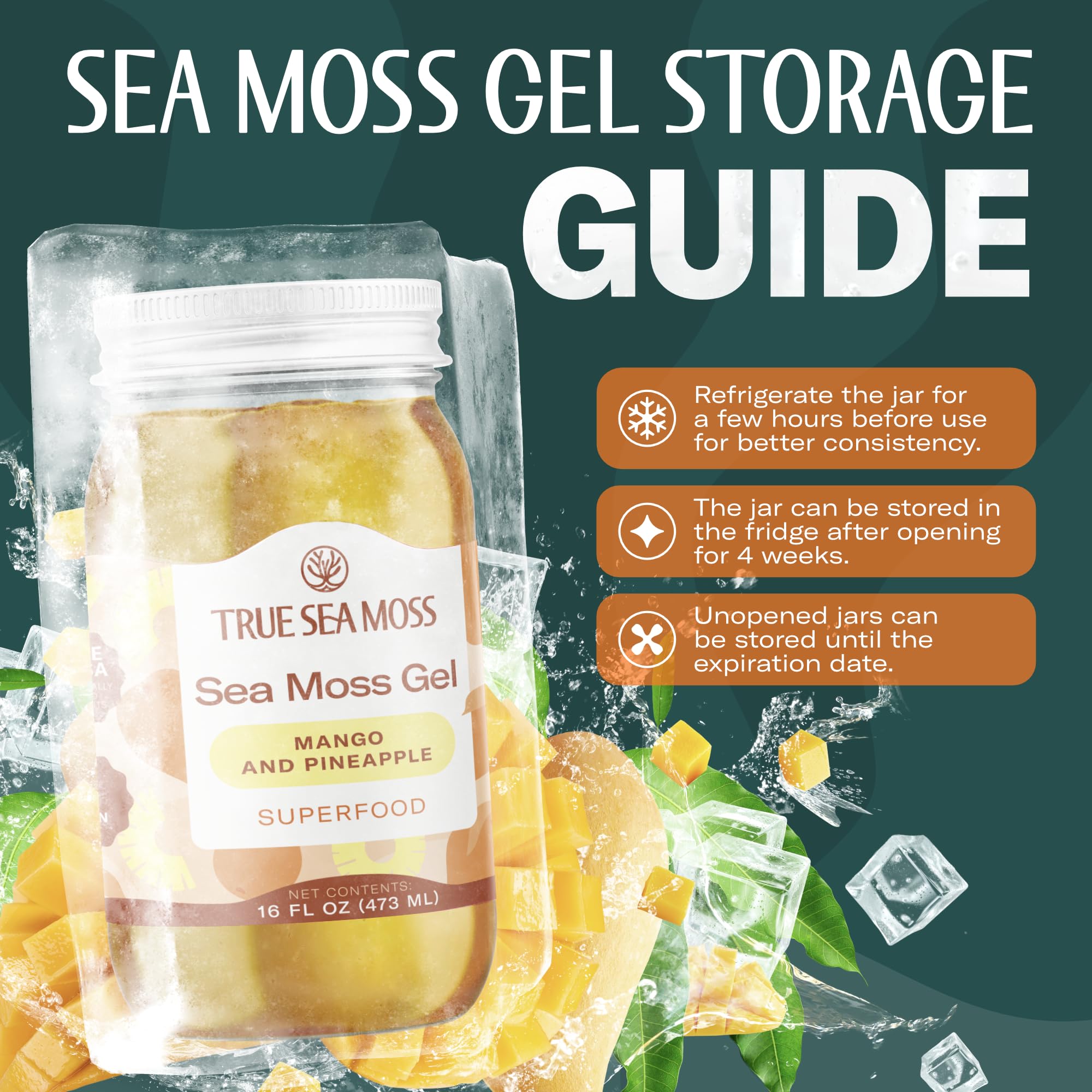 Récolte durable d’algues sauvages TrueSeaMoss auprès de fermes artisanales.
