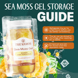 Récolte durable d’algues sauvages TrueSeaMoss auprès de fermes artisanales.