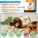 TRUEMED Capsules papaye sur plan de travail, routine bien-être.