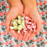 Dosettes vanille-menthe Tummydrops Groovy, douceur sans gluten ni allergène.