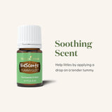 TummyGize, mélange menthe-tangerine-gingembre, parfum frais et réconfortant.
