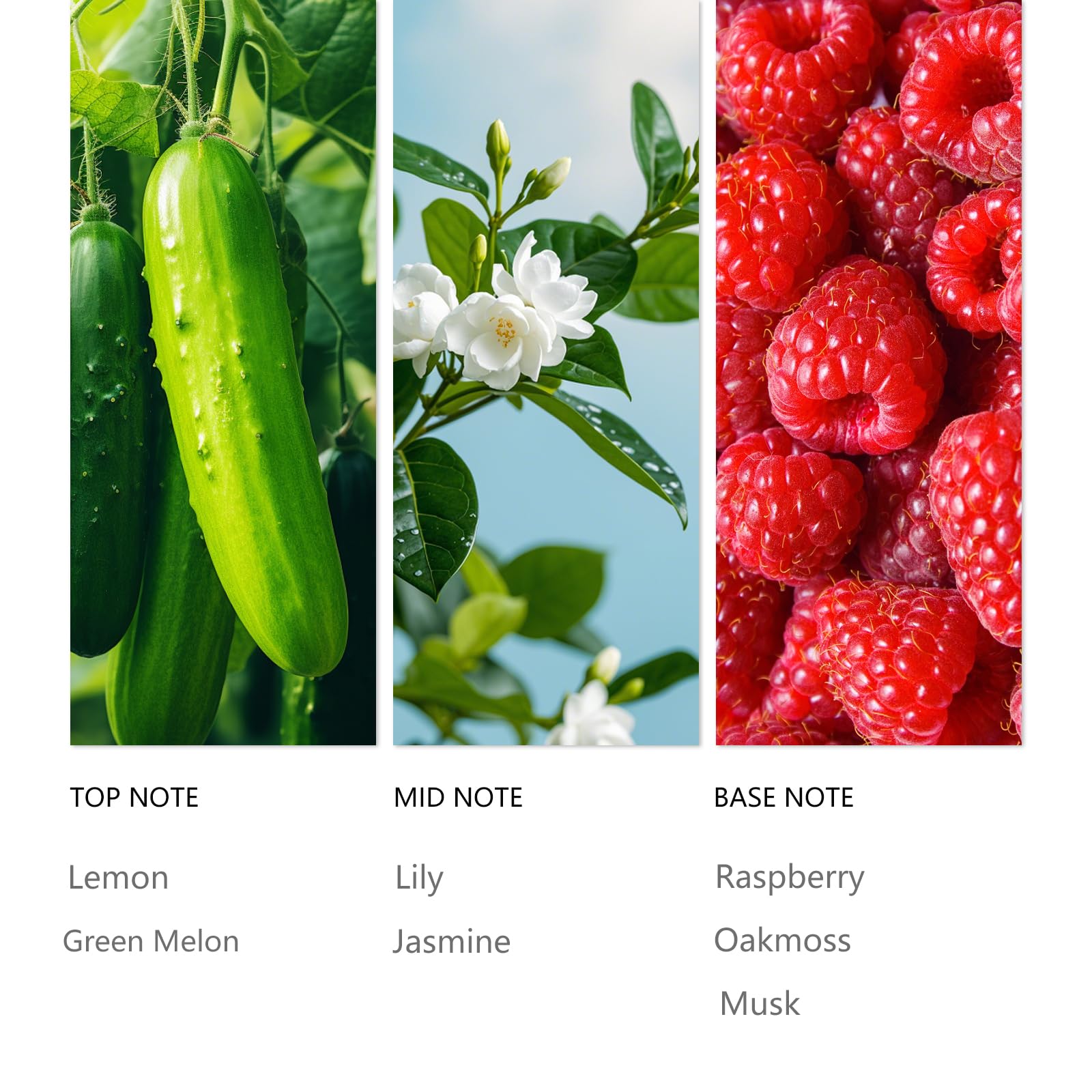 Tuqila cœur floral lys et jasmin pour une atmosphère élégante.
