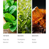 Notes Tuqila Infinity mêlant menthol et eucalyptus rafraîchissent votre espace.