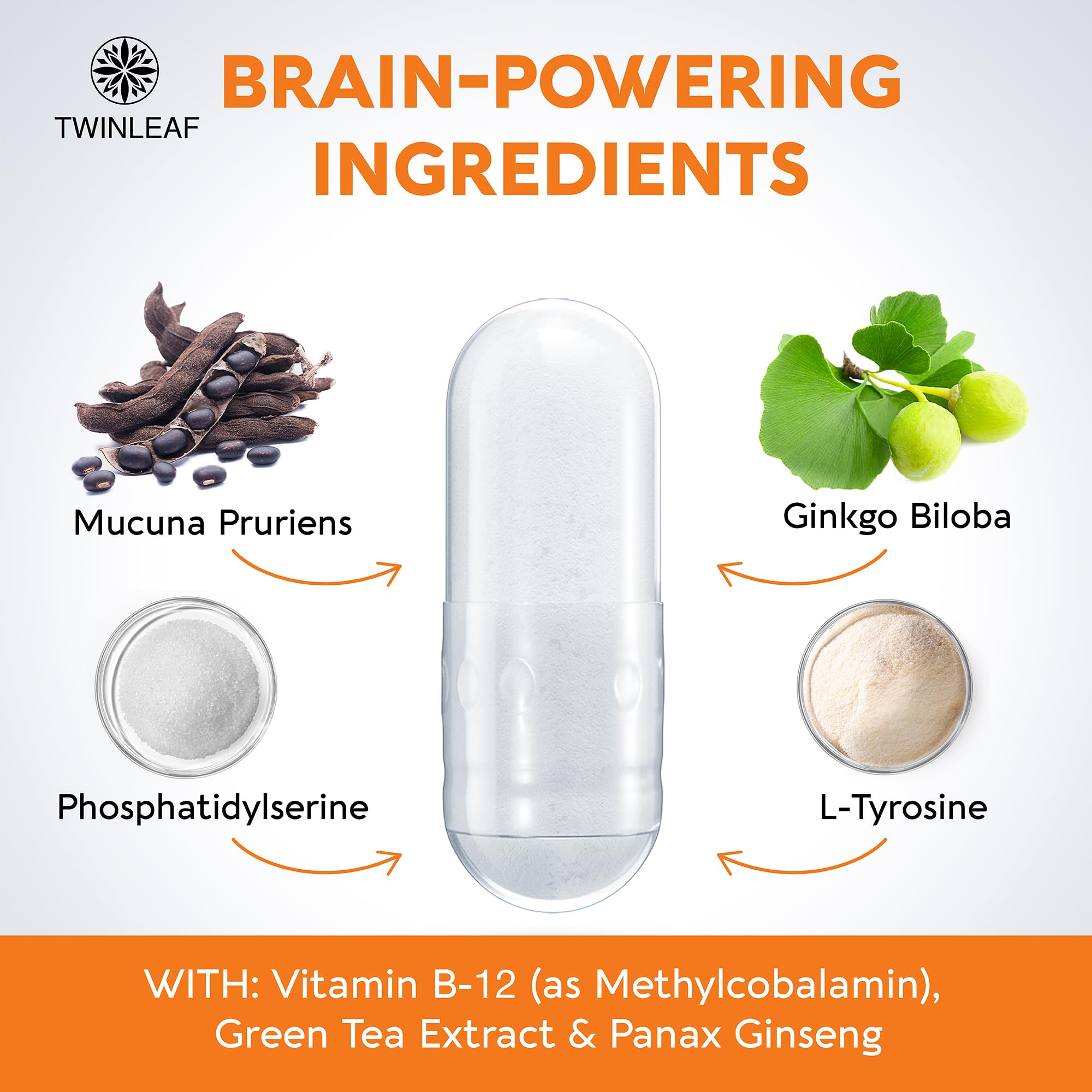 TwinLeaf Dopamine, capsules ouvertes, gélules faciles à avaler.