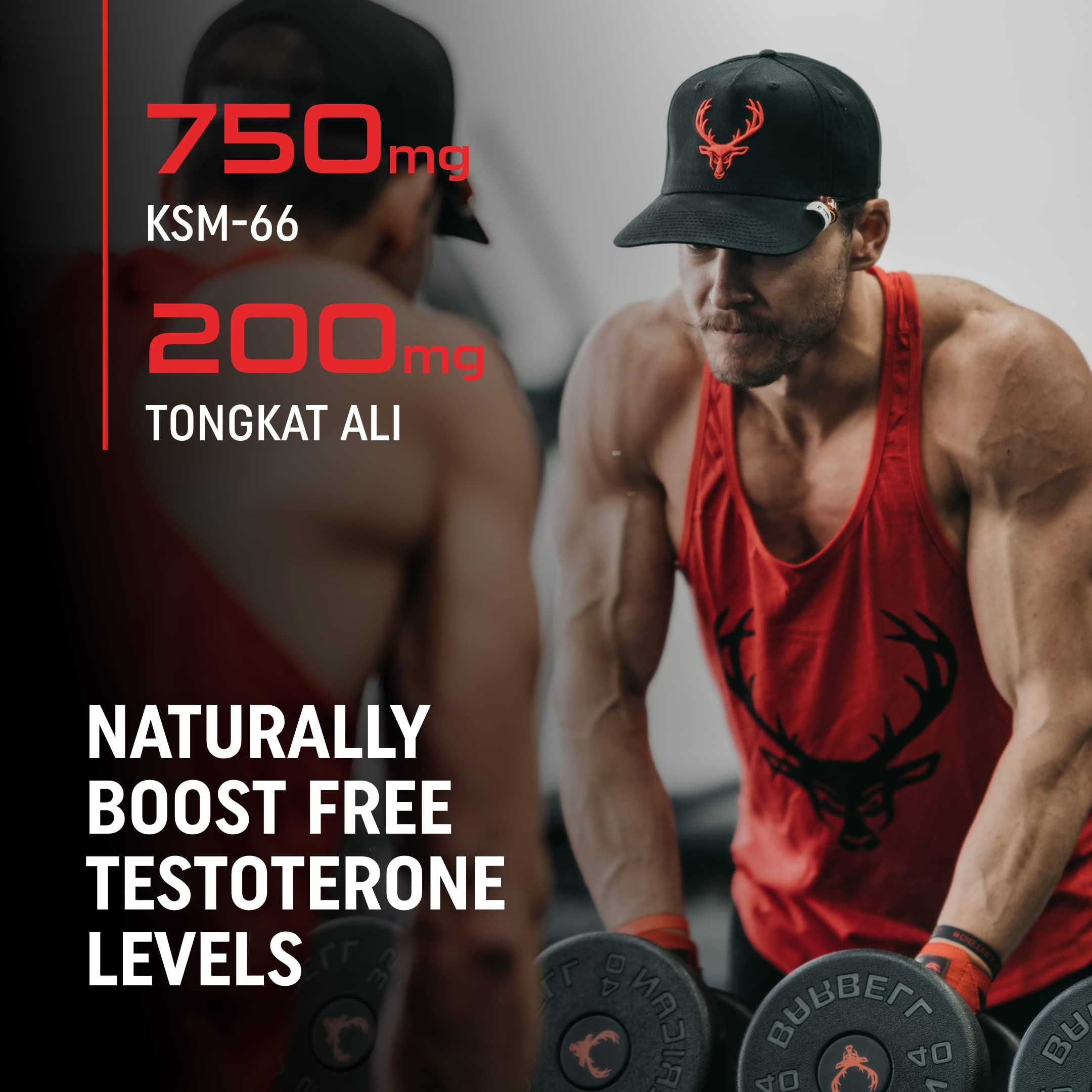 TyeinGo Bucked Up Rut – gélules faciles pour soutien musculaire.