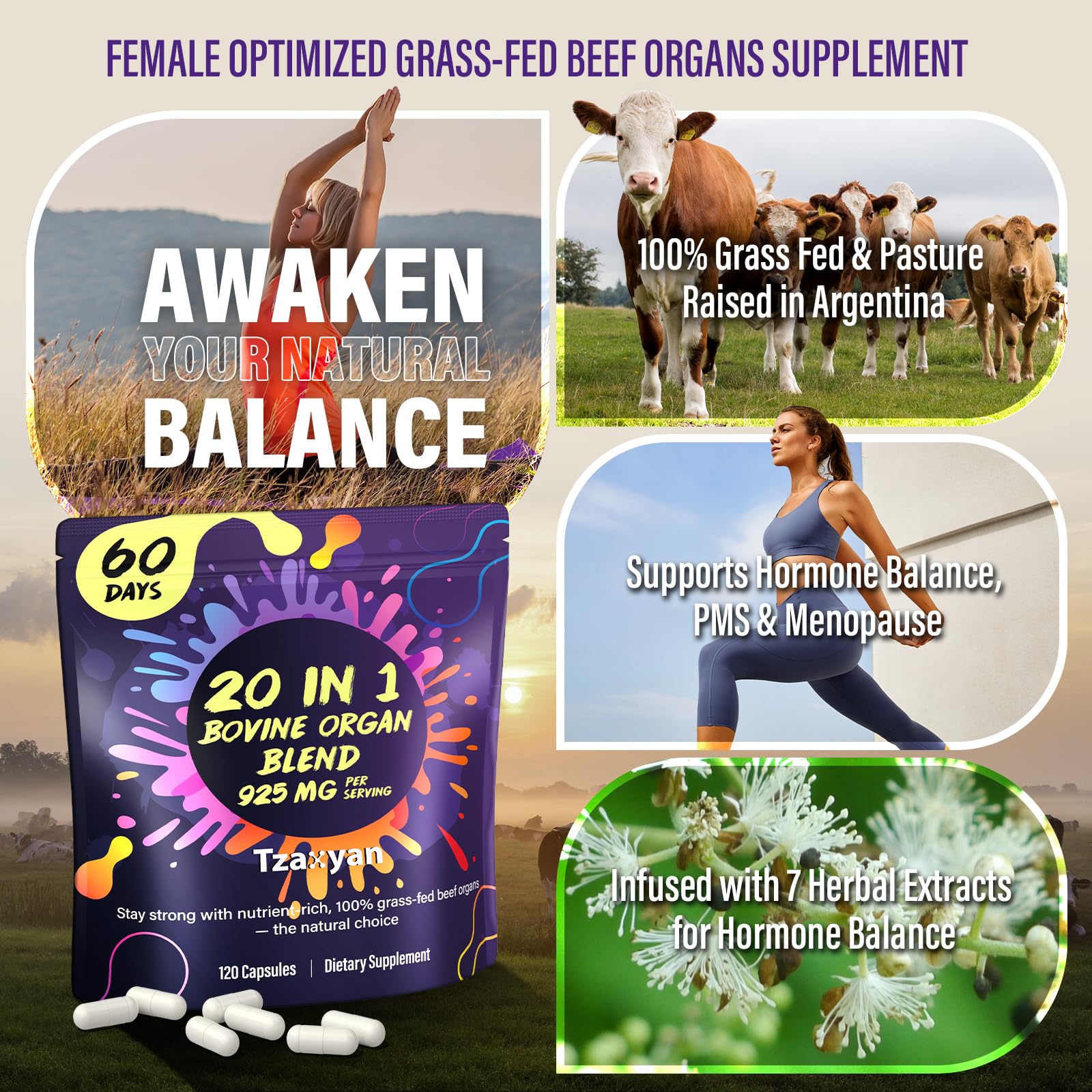 Capsules tzaxyan foie de bœuf, source naturelle de nutriments essentiels.