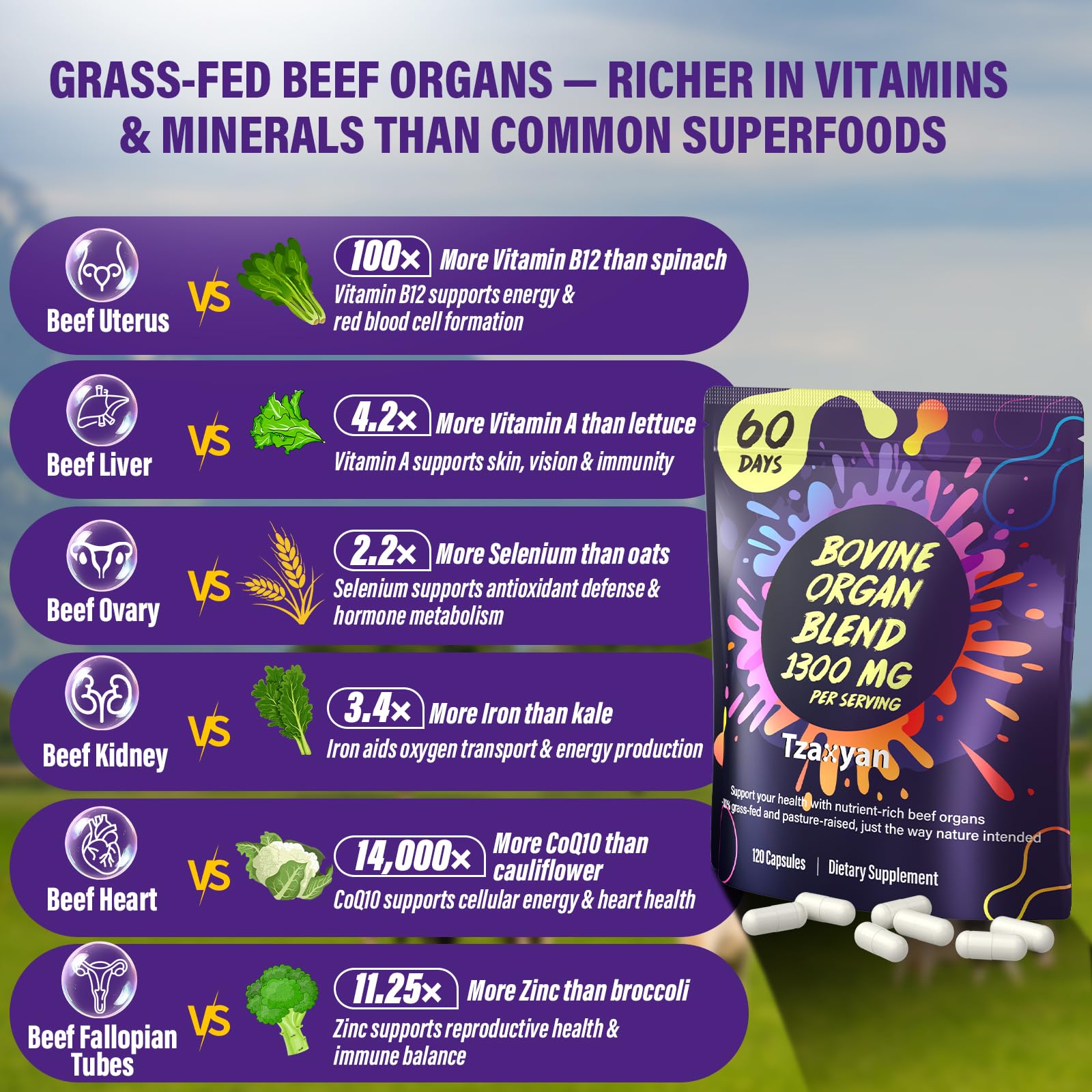 tzaxyan ingrédients naturels, soutien potentiel de l'équilibre hormonal.