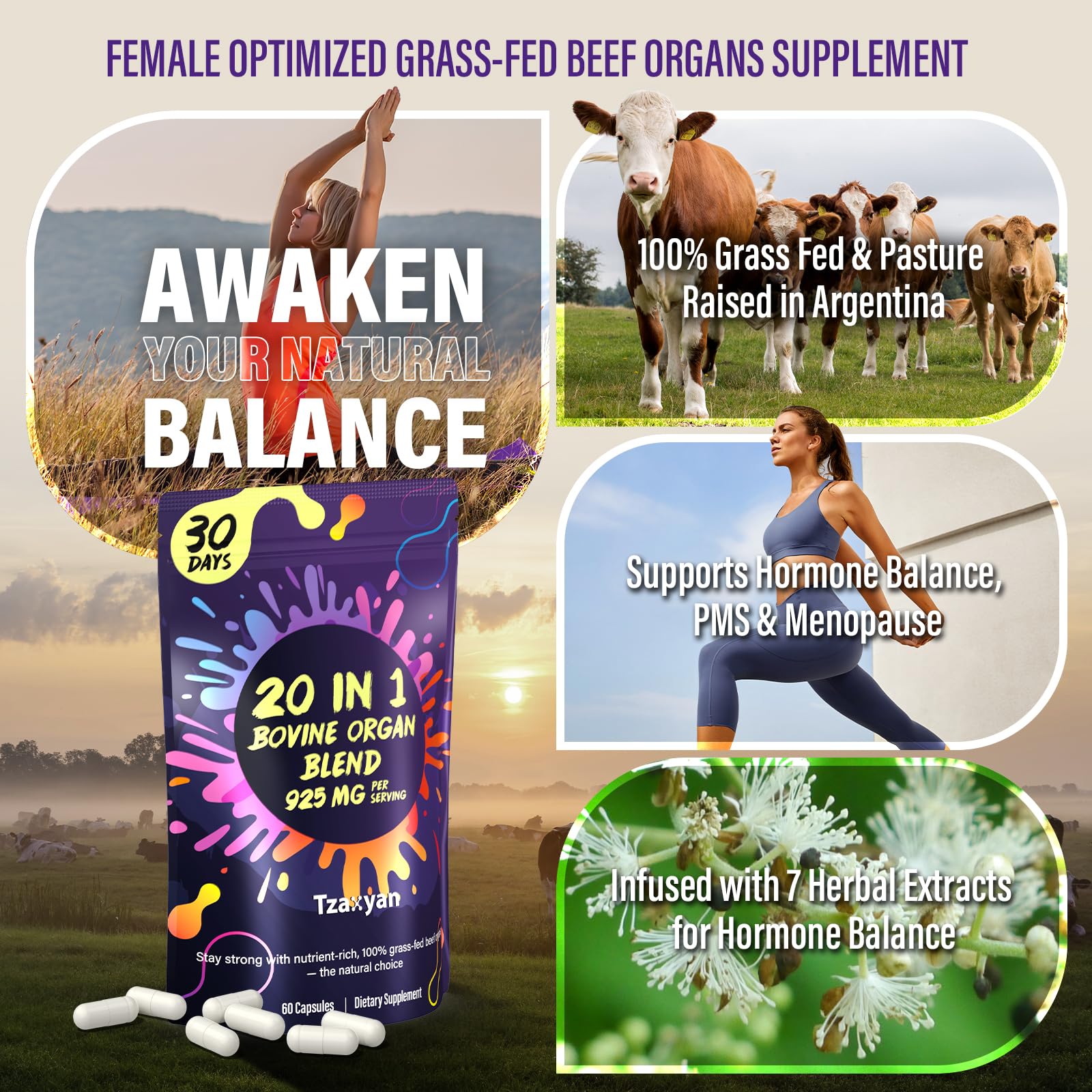tzaxyan organes boeuf uterus ovaire capsule: soutien hormonal potentiel.