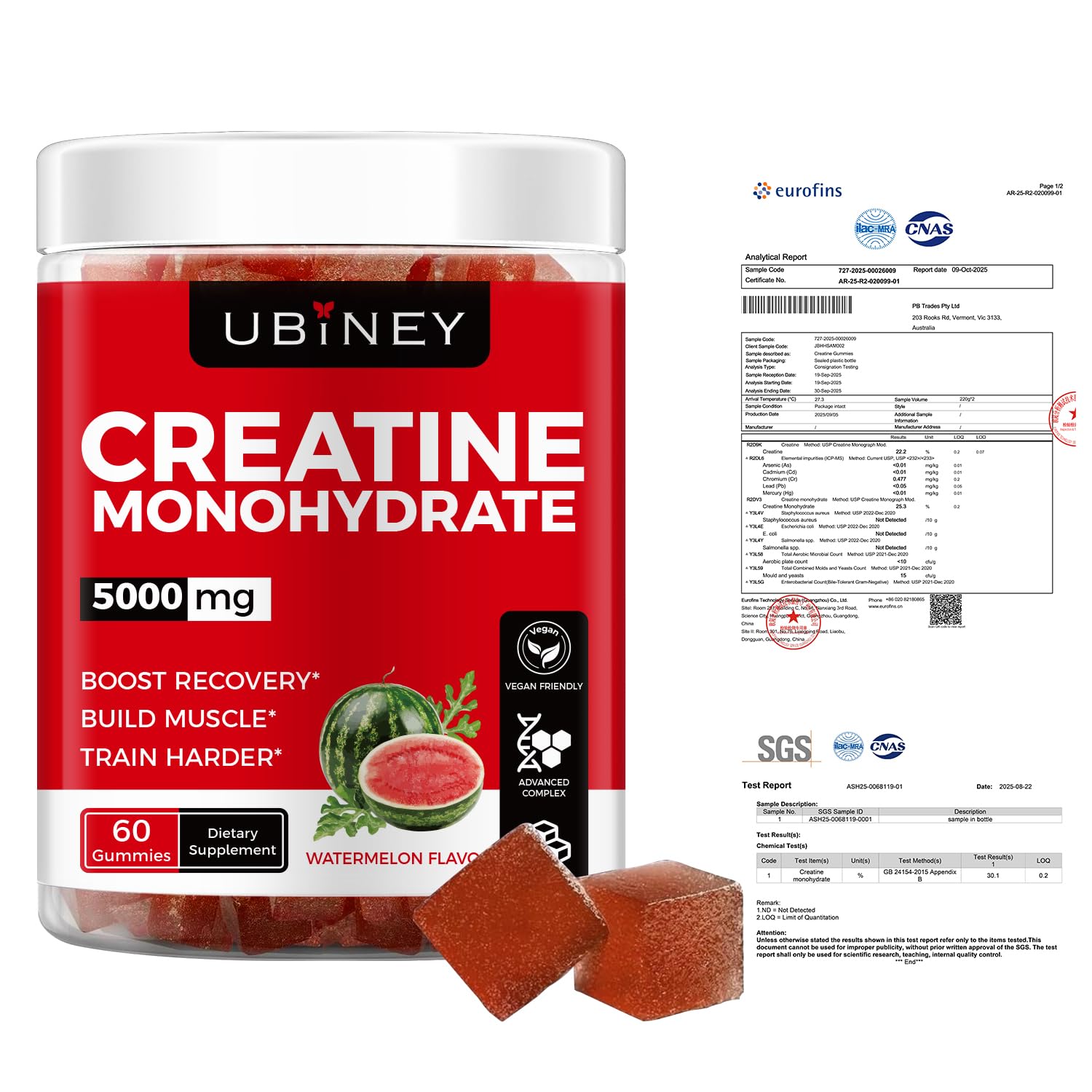 Gommes Ubiney Creatine prêtes avant l’entraînement pour soutenir l’endurance