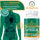 Ulmubra 800 mg luteolin : concentration élevée pour l'utilisation quotidienne