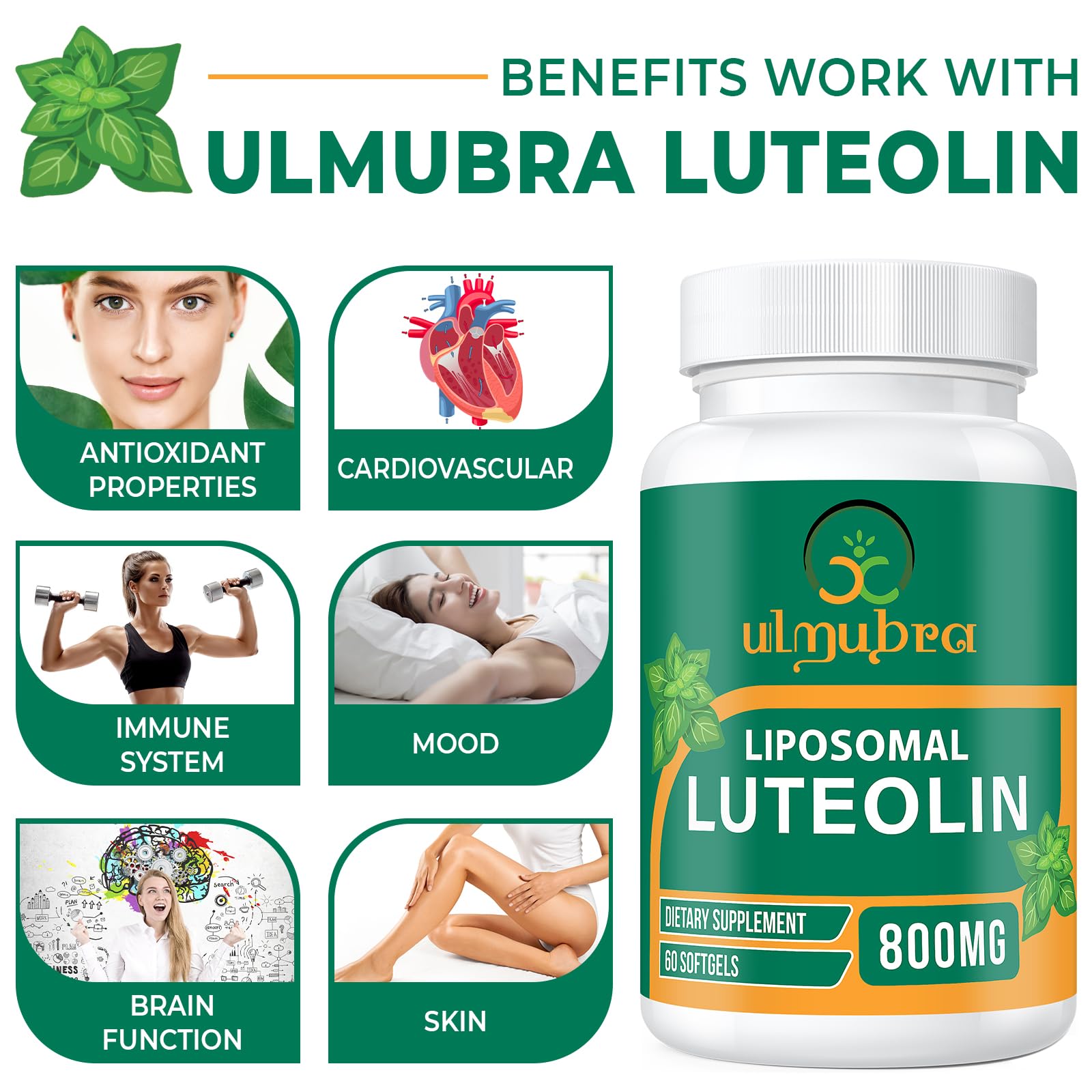 Ulmubra 800 mg luteolin : ingrédients naturels et étiquette claire