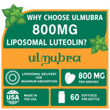 Ulmubra 800 mg luteolin : technologie liposomale améliorant la stabilité digestive